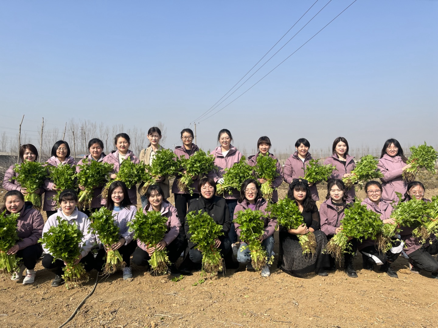 园林.jpg 园林.jpg